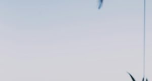 Apa Itu Moslem Friendly Destination?