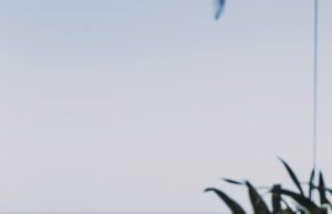 Apa Itu Moslem Friendly Destination?