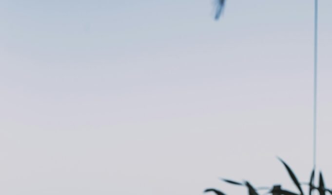 Apa Itu Moslem Friendly Destination?